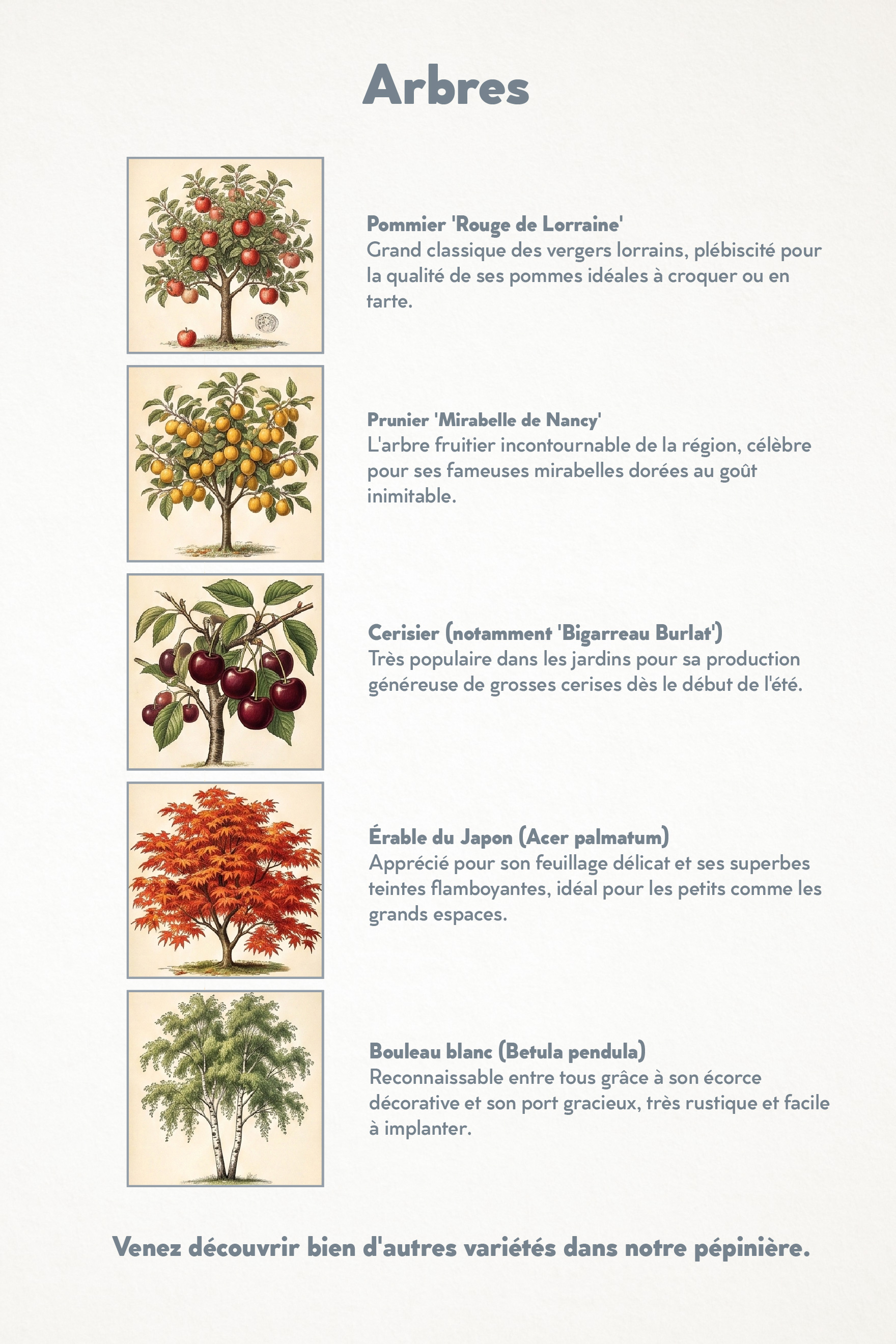 Arbres