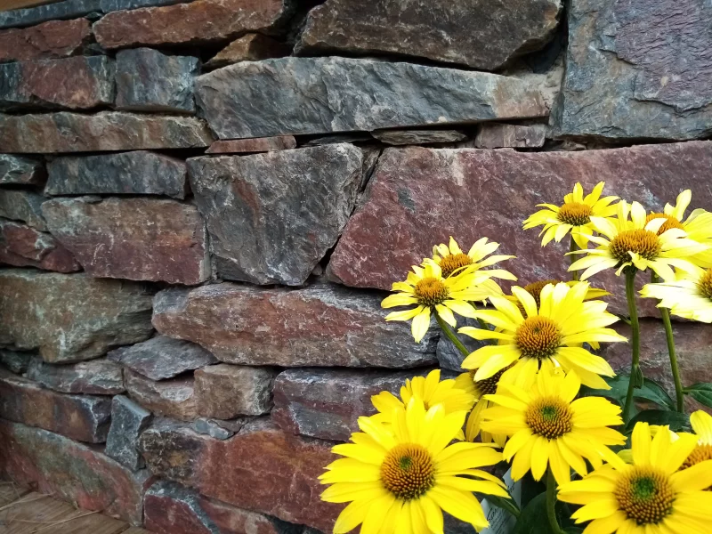 Photo prise avec HUAWEI MRD-LX1