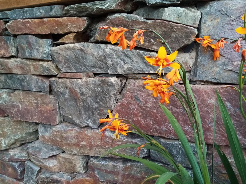 Photo prise avec HUAWEI MRD-LX1