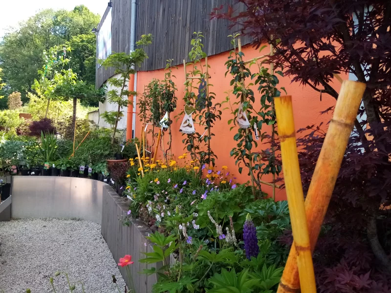 Photo prise avec HUAWEI MRD-LX1